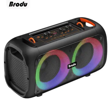 BTS-1709 Bass Portable Subwoofer with Bluetooth and compact design