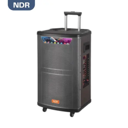 NDR 512 Karaoke Portable Speaker Size 12 with two wireless microphones, LED lights, and Bluetooth