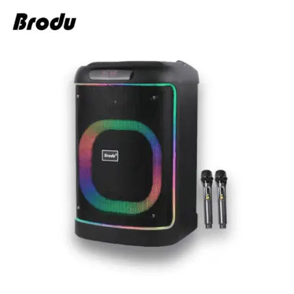 BTS 2103 karaoke speaker with 8-inch speaker, dual wireless microphones, and dynamic light-up effects