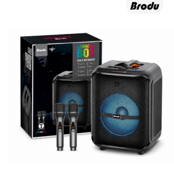 BTS-2188 8 Inch Professional Karaoke Speaker with dual 8-inch woofers, RGB lighting and wireless microphone